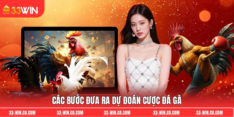 Các bước đưa ra dự đoán cược đá gà