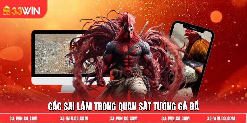 Các sai lầm trong quan sát tướng gà đá