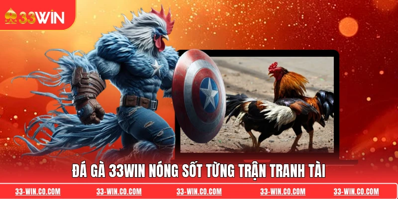 Đá Gà 33WIN nóng sốt từng trận tranh tài