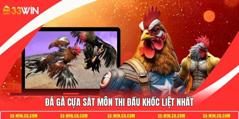 Đá gà cựa sắt môn thi đấu khốc liệt nhất
