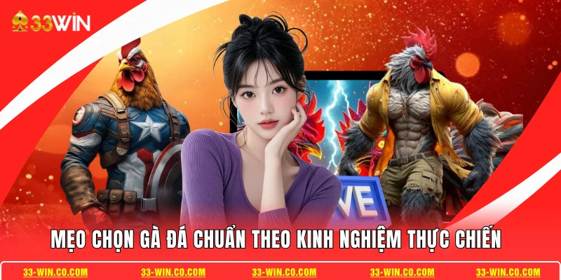 Mẹo Chọn Gà Đá Chuẩn Theo Kinh Nghiệm Thực Chiến