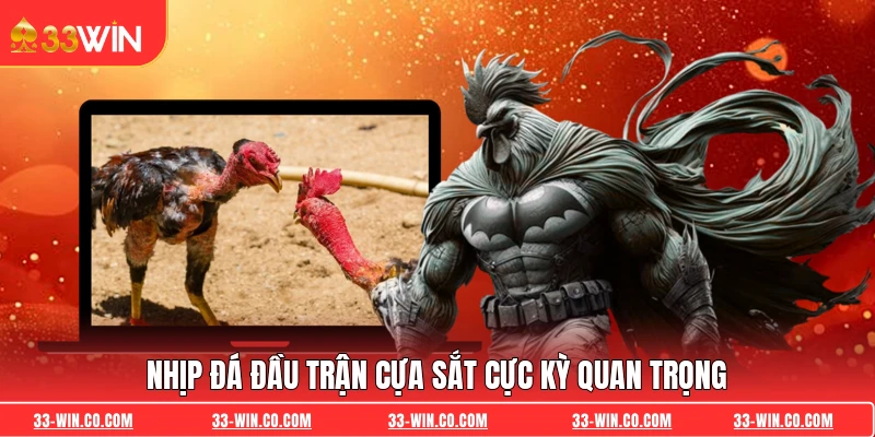 Nhịp đá đầu trận cựa sắt cực kỳ quan trọng
