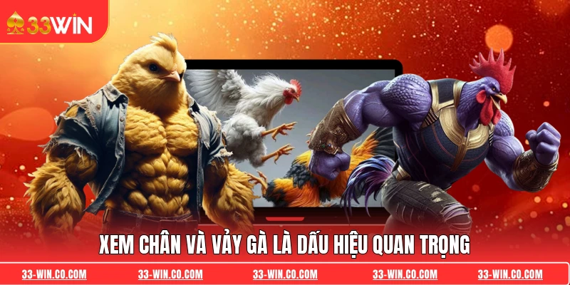 Xem chân và vảy gà là dấu hiệu quan trọng